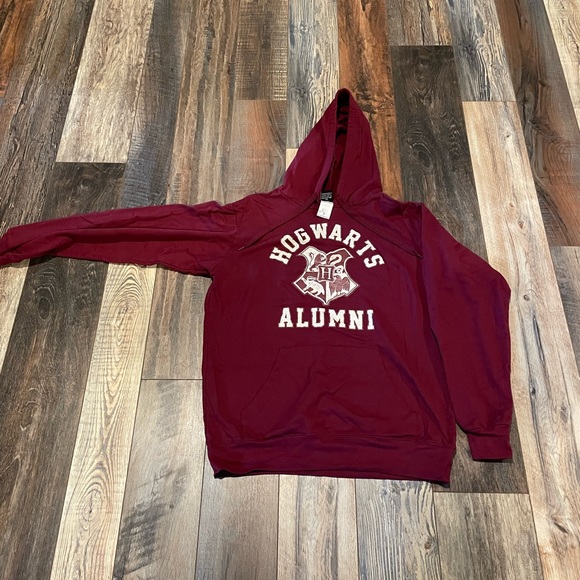 Hogwarts Alumni Hoodie - Picture 2 of 4